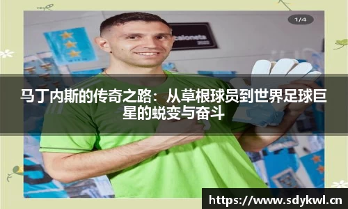 奇异果qyg网页版