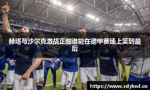 赫塔与沙尔克激战正酣谁能在德甲赛场上笑到最后