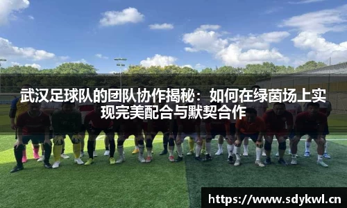 武汉足球队的团队协作揭秘：如何在绿茵场上实现完美配合与默契合作