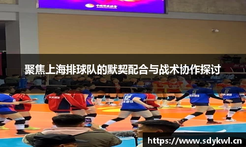 聚焦上海排球队的默契配合与战术协作探讨